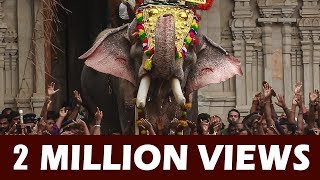 Thechikottukavu Ramachandran Mass Entry at Thrissur Pooram  4K Video ARN MEDIA [upl. by Anorahs]