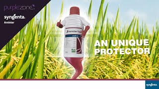 Syngenta Amistar Top Product Video  PurpleZone [upl. by Ley]