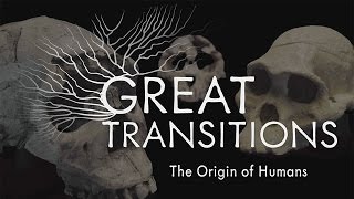 Great Transitions The Origin of Humans — HHMI BioInteractive Video [upl. by Harcourt]