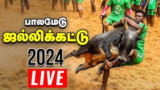 🔴பாலமேடு ஜல்லிக்கட்டு நேரலை  Jallikattu Live 2024  Palamedu [upl. by Nosyla]