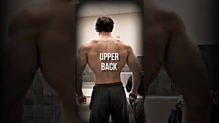 UPPER BACK WORKOUT upperbackworkout [upl. by Legnaros]