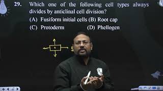 Which one of the following cell types always divides by anticlinal cell division [upl. by Lectra813]