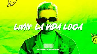 Ricky Martin  Livin’ La Vida Loca Kevin Brand Remix  Tech House [upl. by Onaivatco]