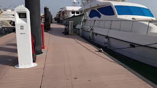 Trailer Lusail Marina [upl. by Wilhelm]