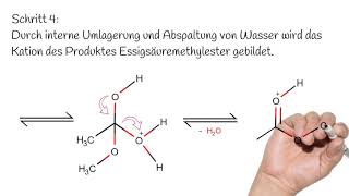 Veresterung Reaktionsmechanismus [upl. by Hluchy]