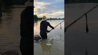 fishing fisherman traditionalfishermanlife netfishing fishermanlife fishermans [upl. by Assed]