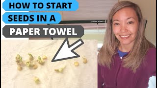 Seed Germination PAPER TOWEL METHOD  How to Start Seeds in a PAPER TOWEL FAST  SUPER EASY [upl. by Eico226]