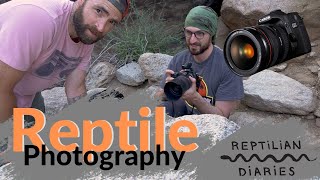 Reptile photography  the kit to shoot it all and of course herping [upl. by Yrem]