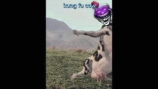 Kung fu cow cow cooked trollfaceedit [upl. by Mialliw792]