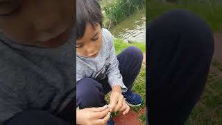 Fishing in Hornsea Yorkshire UK 🇬🇧 [upl. by Ainud]