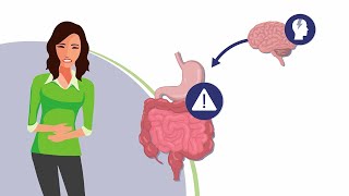 Unser „Bauchhirn“  Steuerzentrale der Verdauung [upl. by Eocsor880]
