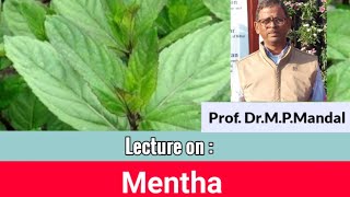 Complete Lecture on MenthaMentha arvensis by DrMPMandal [upl. by Ardua]