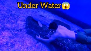 Swimming Underwater 😱  What Im Searching underwater 😱 [upl. by Zetniuq280]