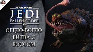 Star Wars Jedi Fallen Order  Босс 1 ОггдоБогдо  Жаба переросток [upl. by Eeresid]