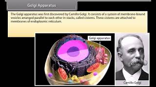 Standard 9 Science The cell organelles II  Quick revision  NCERT  Animation [upl. by Hniht]