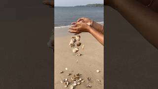 Turning beach treasures into beautiful wall decor—watch the magic of seashells unfold 🌊🌿 Sea [upl. by Adahsar993]