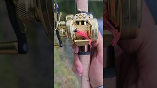 Ultimate Ultralight Baitcasting Reel with DC Braking fishing [upl. by Hach]