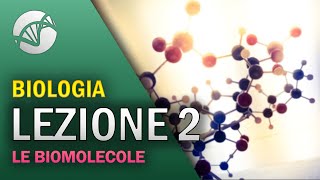 BIOLOGIA  Lezione 2  Le Biomolecole [upl. by Ardnauqal]