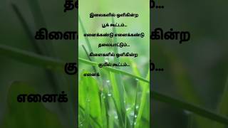 🌹Tamil music shorts pulveli pulveli song🌹 [upl. by Christoforo110]