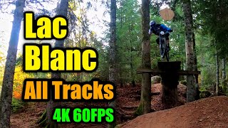 Lac Blanc Bikepark  All Tracks  Track Preview  4K 60FPS  Pilots Preview 19 [upl. by Erich]