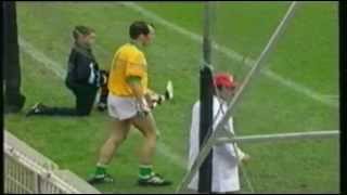 Clare v Offaly 1995 All Ireland SHC Final Extended Highlights [upl. by Uliram]