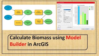 Calculate Biomass using Model Builder in Arcmap [upl. by Wappes]