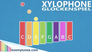 Ode to Joy  XYLOPHONE amp GLOCKENSPIEL Play Along [upl. by Aticnemrac]