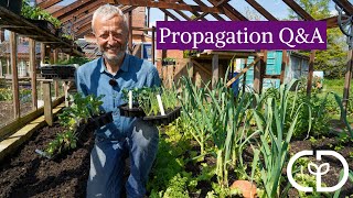 Common questions about propagating plants [upl. by Erle]