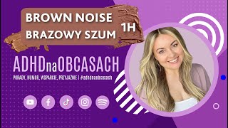 BRAZOWY SZUM  1H  ADHD SKUPIENIE PRACA USPOKOJENIE RELAKS  BROWN NOISE VIDEO [upl. by Ayita]