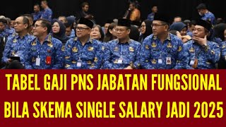 GAJI PNS JABATAN FUNGSIONAL PADA SKEMA SINGLE SALARY [upl. by Dix]