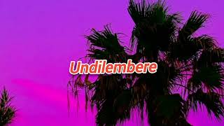 Driemo Undilembere lyrics [upl. by Enegue246]