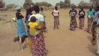 Mossi traditional dance in Burkina Faso [upl. by Dnalram973]