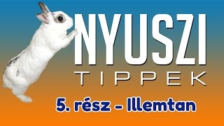 A NYÚL ILLEMTAN 7 SZABÁLYA  Nyuszi Tippek 5 [upl. by Ilenna342]