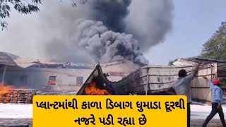 fire at Nitrex Chemicals jhagadia gidc jhagadiagidc bharuch Ankleshwar jhagadia [upl. by Anialem]