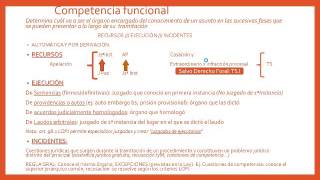 Lec 21 La Competencia Funcional umh1434 201516 [upl. by Busch]