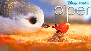 A Heartwarming Tale of Parenting and Survival  Disney Pixars Piper [upl. by Gautea]