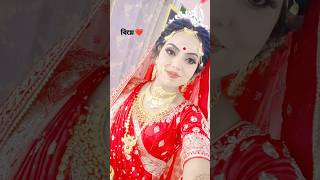 All my wedding looks together ✨❤️ youtube minivlog youtubeindia youtubeshorts wedding bengali [upl. by Aleck]