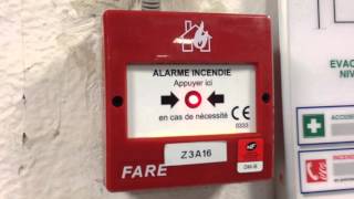 Alarme Incendie  TEST Declencheur Manuel Fare  Réarmement [upl. by Thier]