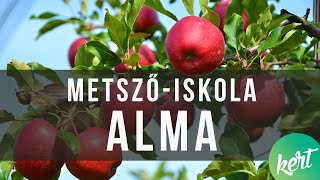 Az alma metszése  kert TVmetszőiskola [upl. by Barbour]