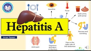 Hepatitis A virus Causes jaundice and spread by fecaloral route  Virology  by Imran Yaseen [upl. by Atisusej]