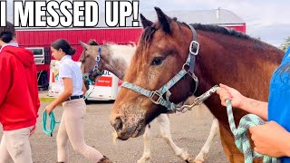 This Horse Show Did Not Go As Planned What A Day… [upl. by Drawe]