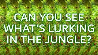 Stereogram Challenge 22  Whats Lurking in the Jungle [upl. by Nomzaj]