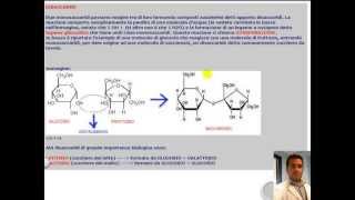 CORSO DI BIOLOGIA GENERALE  LEZIONE 16  ZUCCHERI [upl. by Analaj]