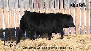 Lonesome Dove Bull Lot DRT 25L sells Friday March 1 2024 [upl. by Rodolph]