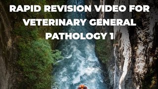 Rapid revision video for veterinary general pathology 1 [upl. by Haran]