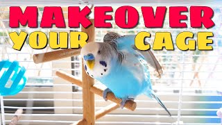 Setting Up Your Parakeets Cage [upl. by Heuser]