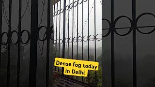 Dense fog in Delhi dance punjabisong [upl. by Yeffej]