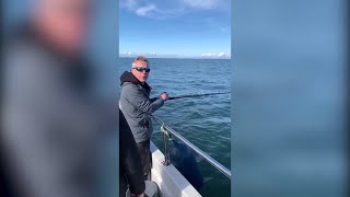 Mackerel fishing off Arbroath [upl. by Leuas]