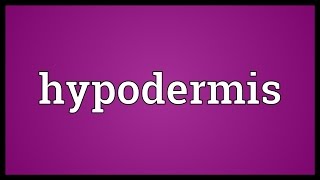 Hypodermis Meaning [upl. by Atokad961]