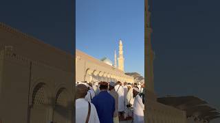 Hara Gumbed Jo Dekho Ge Zamana Bhol Jawo ge madinah masjidulnabawi shotrs [upl. by Leksehcey]